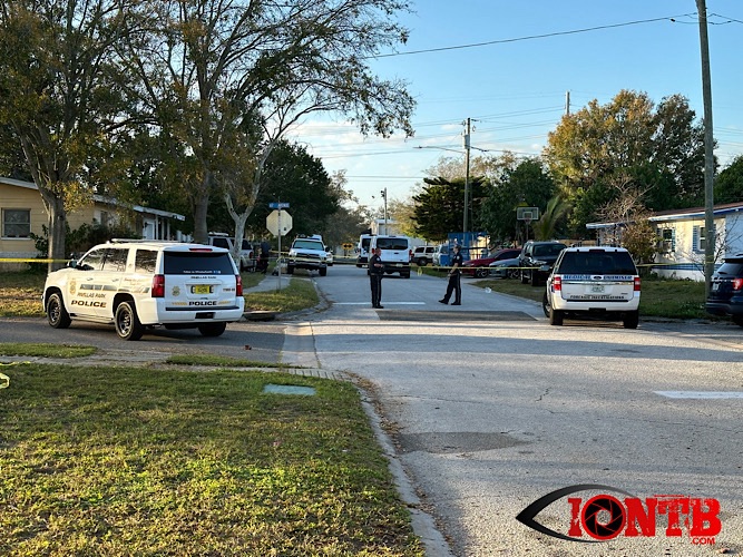Two dead, one arrested and charged with first degree murder in Pinellas ...