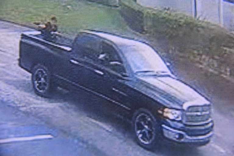 Clearwater Police Requesting Public’s Help to Identify Vandal Who Shot at Business