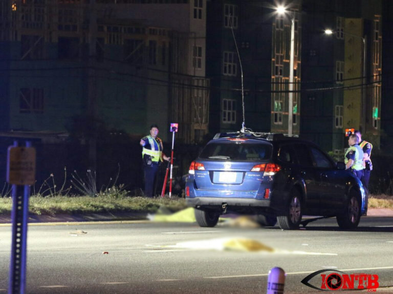 Pedestrian and Two Dogs killed in crash on 66th Street just north of 126th Ave in Largo