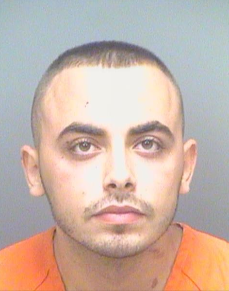 Palm Harbor Man Arrested For Attempted Murder After Choking Elderly Woman Walking Her Dog. His Two Brothers Interfered.