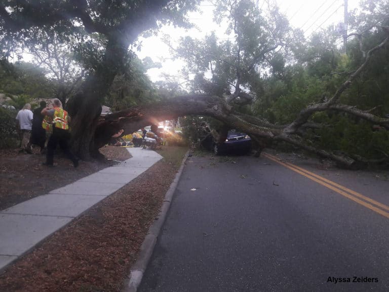 Minor Injuries After Tree Falls on Vehicle in Clearwater