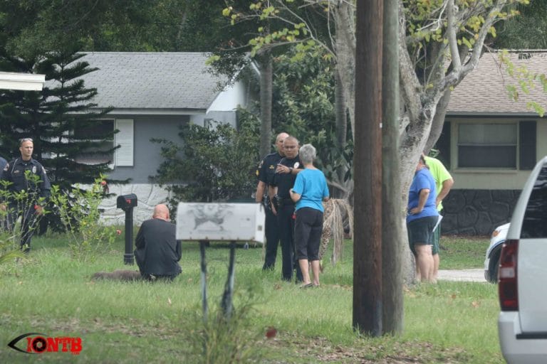 Husband Shoots Neighbor’s Pit Bull After it Attacks His Wife and Family Dog in Largo