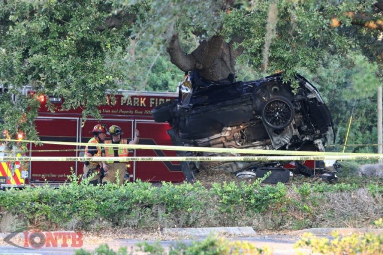 Man Killed in Single Vehicle Crash in Pinellas Park