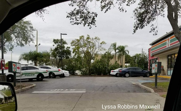 St. Petersburg Police Arrest Man After an Armed Robbery at a 7-Eleven [Video]