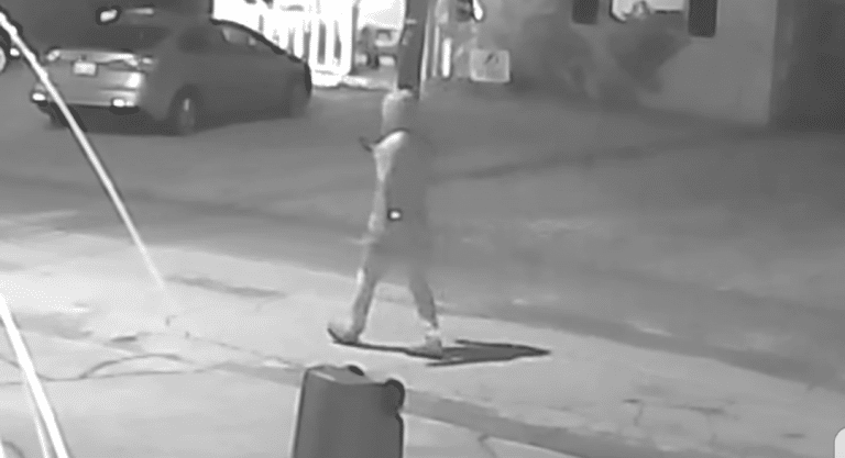 Police Release Surveillance Video Connected to 4th Seminole Heights Shooting