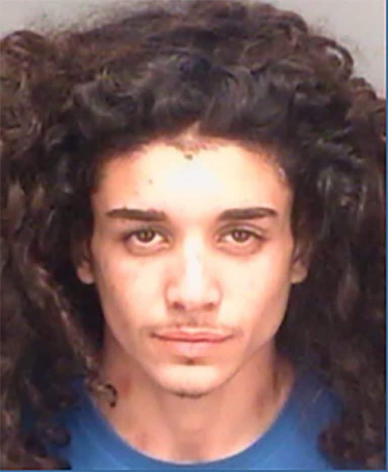 17 Year-old Arrested After Discharging Firearm in Seminole