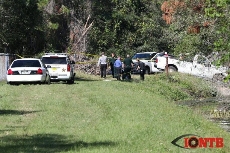 Pinellas Deputies Conduct Investigation After County Employee Dies After Being Found Face Down in a Creek