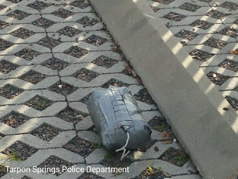 Bomb Squad Investigates Suspicious Item in Tarpon Springs