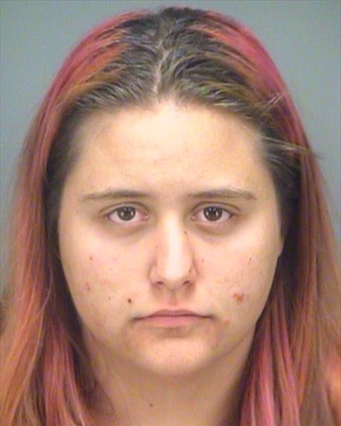 Pinellas Park Woman Charged with Arson After Fire at the Pinellas Park Youth Soccer Complex