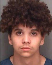 Arrest Made After Pinellas Park Resident Shot by Teen Burglarizing His Vehicle