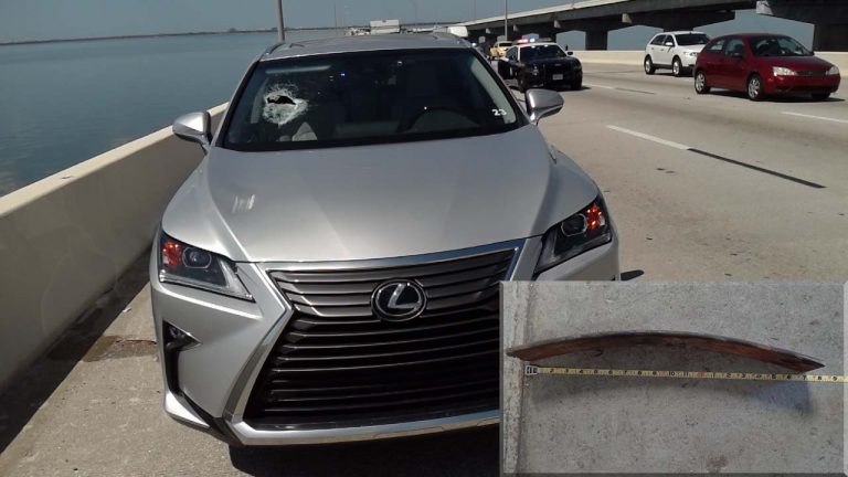 St. Petersburg Woman Dies After Being Struck by Road Debris on the Howard Frankland Bridge