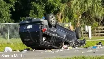 Woman Killed in Palm Harbor Crash Wednesday Morning