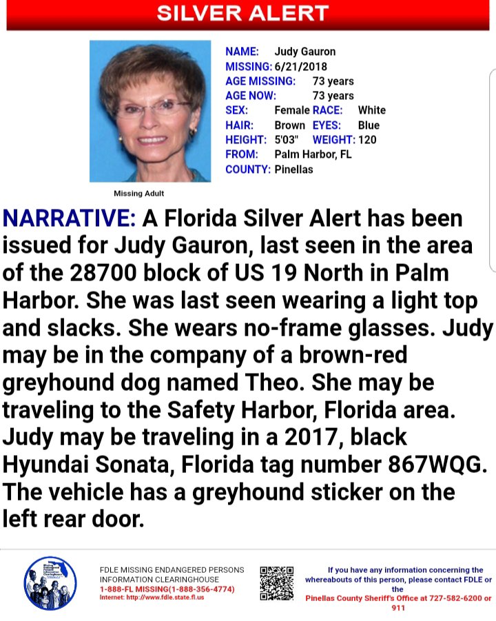 Silver Alert Issued for Palm Harbor Woman