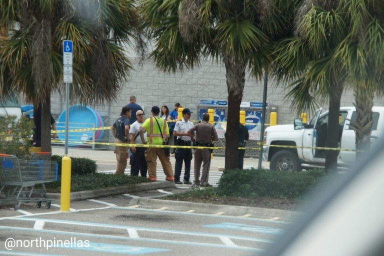 Elderly Palm Harbor Woman Killed in Walmart Parking Lot After Struck by a Pickup Truck