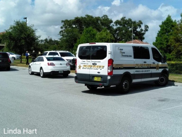 Pinellas Deputies Investigating After Body Recovered From Seminole Pond