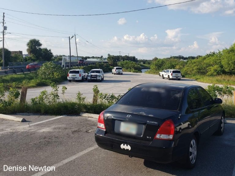 Tarpon Springs Police Investigating After Body Found in Wooded Area