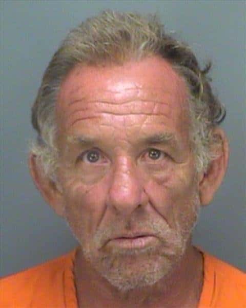 Pinellas Deputies Arrest Man For Kidnapping And Molesting A 9-Year-Old Girl In Safety Harbor