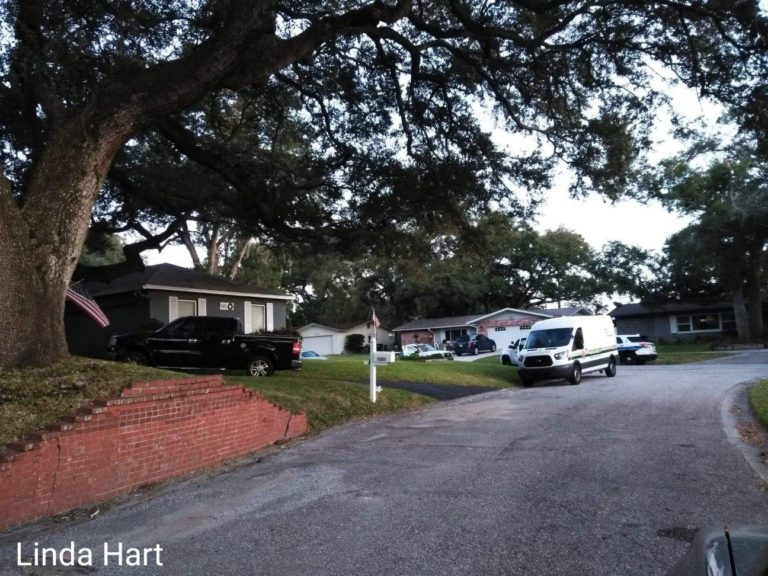 Pool Service Worker Found Unresponsive in a Pool at a Residence in Clearwater