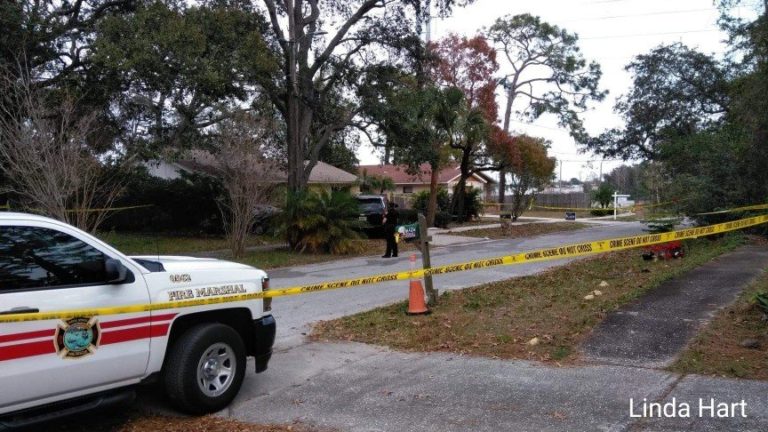 Tarpon Springs authorities on scene and investigating fire death