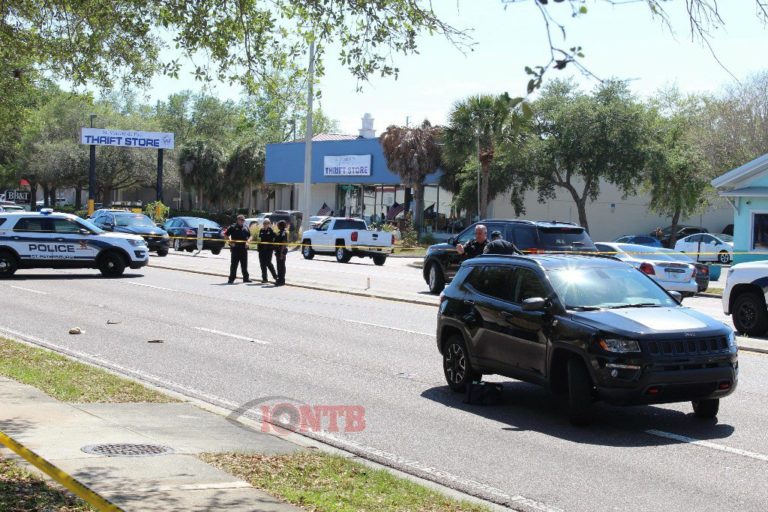 Police say pedestrian struck and killed after tripping off sidewalk in St. Petersburg