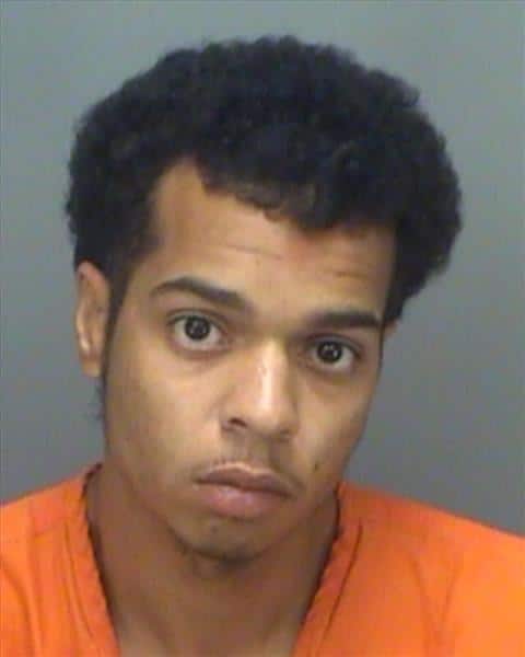 First degree murder charges following the shooting stabbing death in St. Petersburg