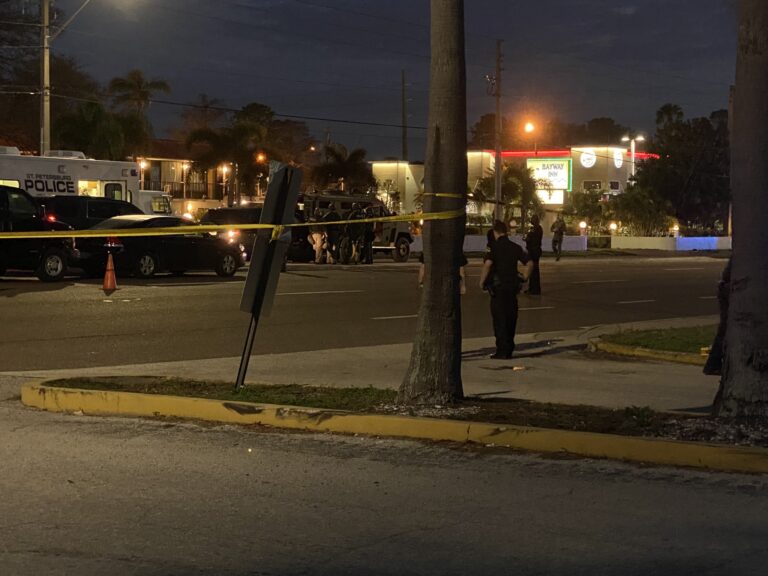 Double homicide suspect taken into custody in St. Petersburg