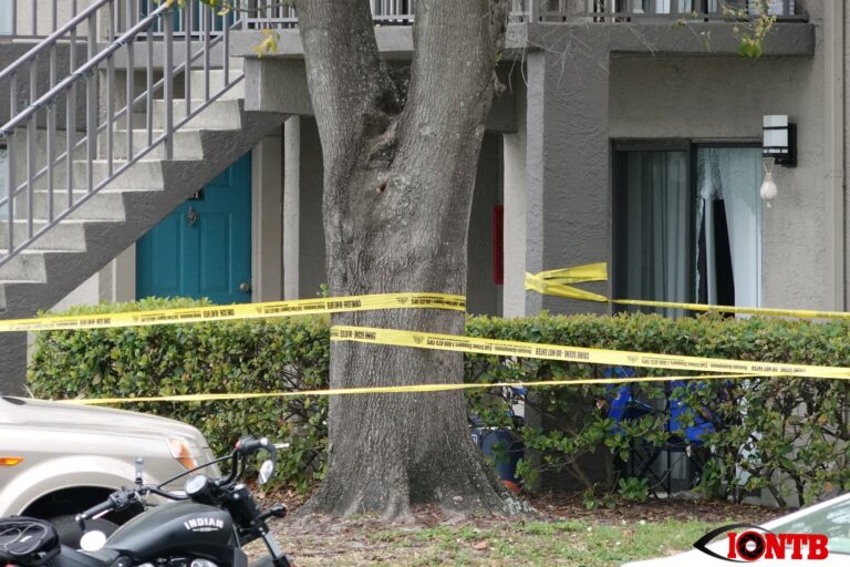 Arrest made in fatal shooting at the Four Lakes at Clearwater apartment complex