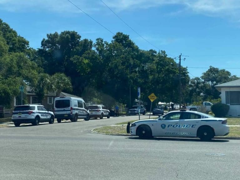 Woman stabbed multiple times by her son in St. Petersburg