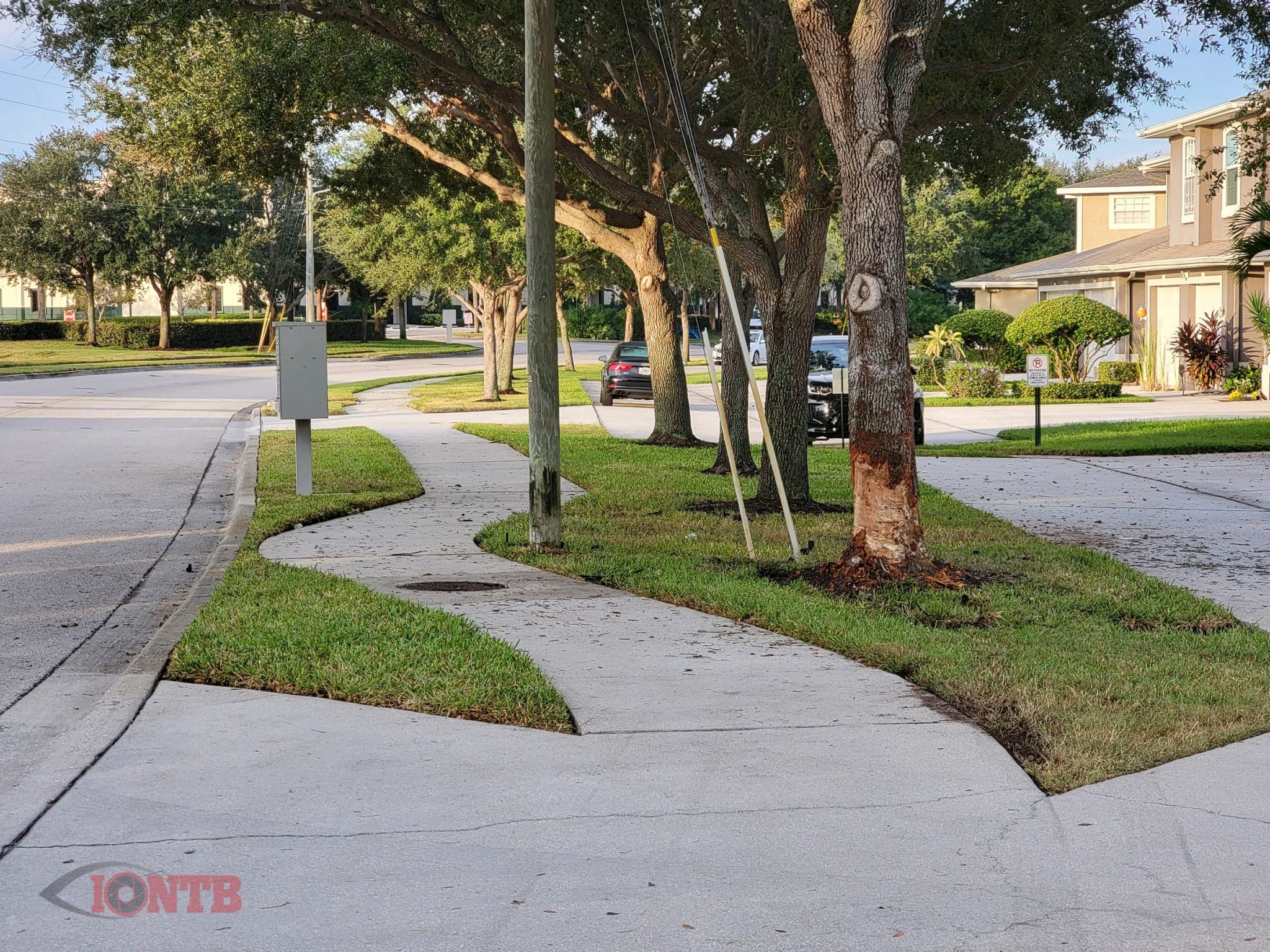 Motorist dead in single vehicle crash off 118th Avenue N near Lake