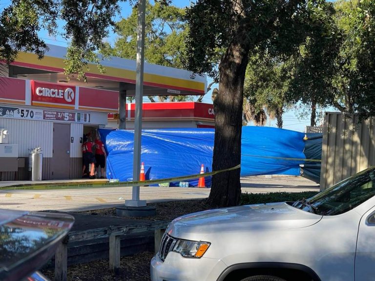 Woman killed after crash pinned her between car and fuel pump at Palm Harbor gas station