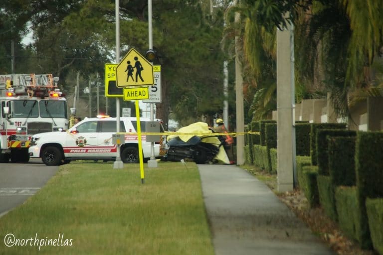 Two dead, one seriously injured in Palm Harbor crash