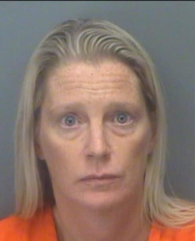 Woman charged after throwing boyfriend’s pet dog off seventh floor balcony of Clearwater condominium