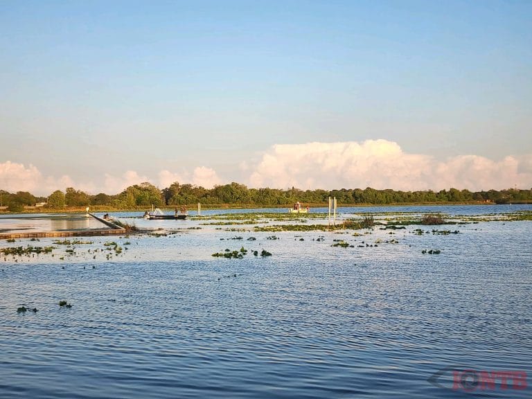 Body of St. Petersburg man recovered after exhaustive search in Lake Seminole