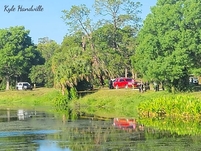 Largo Police detectives believe man killed by alligator while searching for frisbees in Taylor Lake