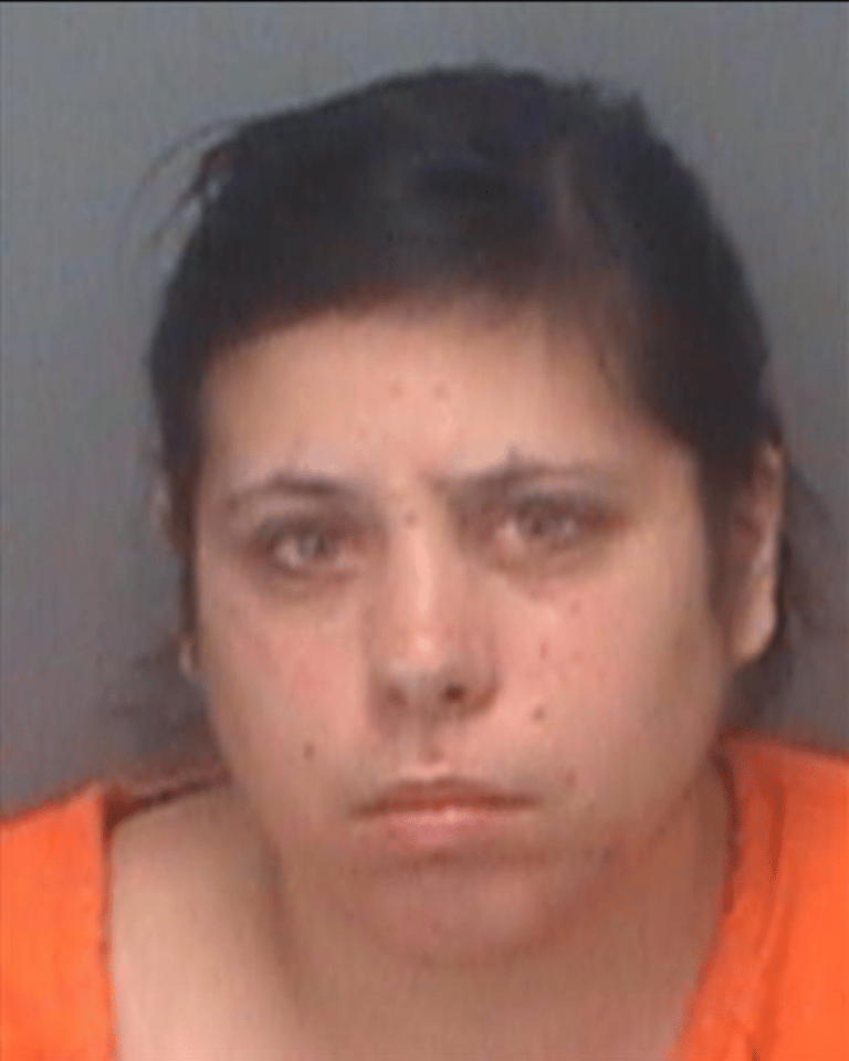 Pinellas deputies arrest preschool teacher for repeatedly punching 4 year-old on playground