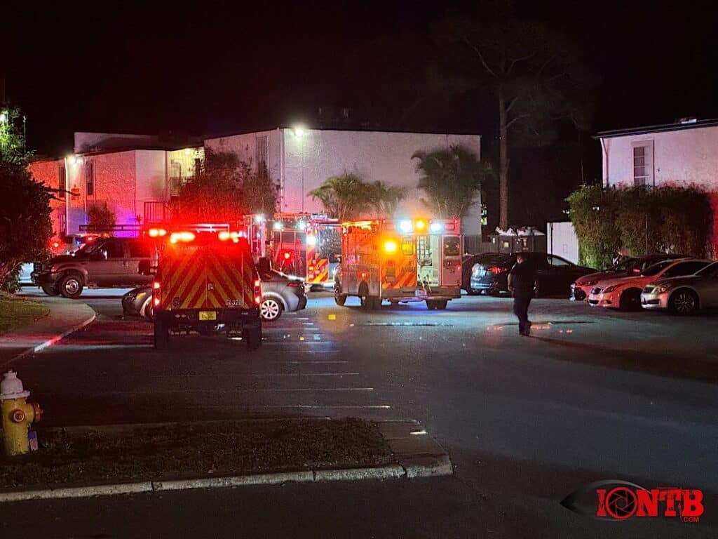 Mother killed and her daughter injured in shooting at Clearwater ...