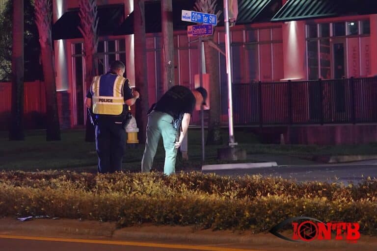 Pedestrian killed in crash on Seminole Boulevard in Largo