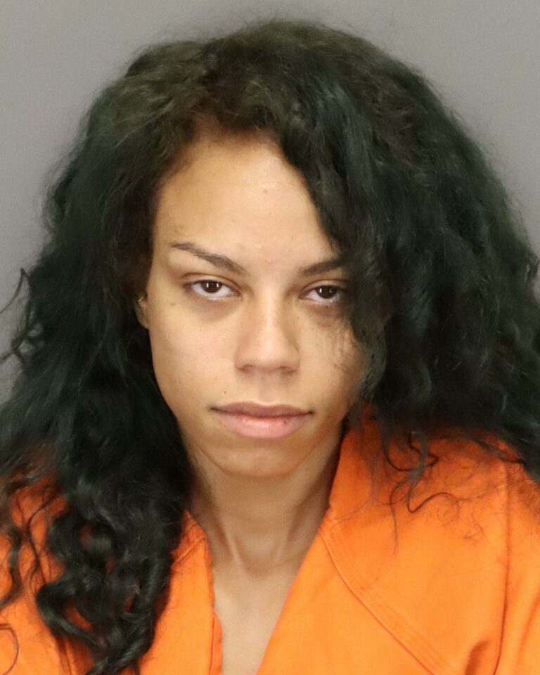 St. Petersburg woman charged with murder after attacking acquaintance with box cutter