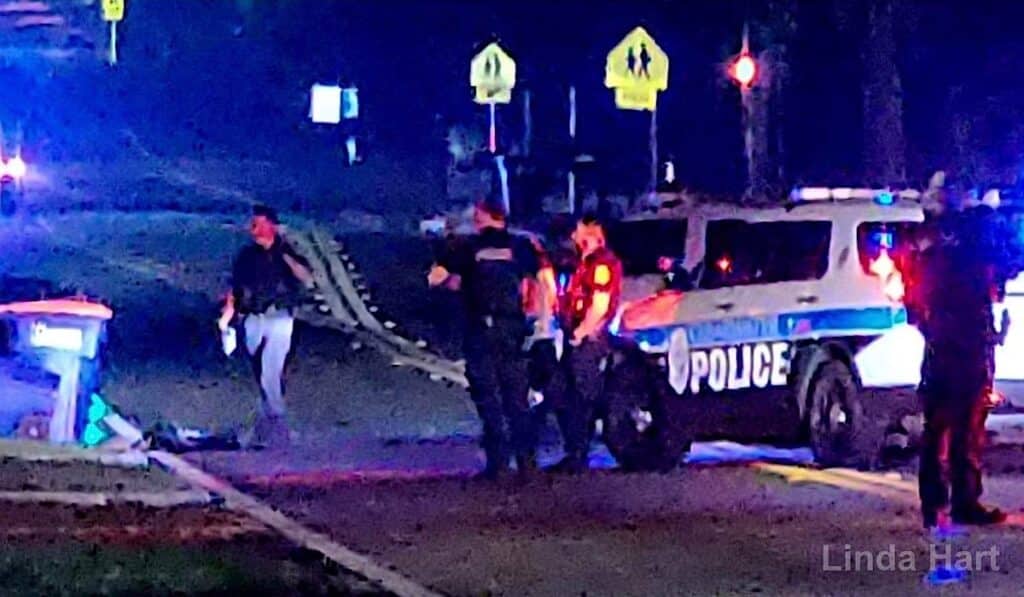 Clearwater Police investigating fatal hitandrun crash killing a