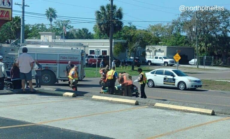 Bicyclist struck and killed by a vehicle on Palm Harbor Boulevard near Ohio Avenue