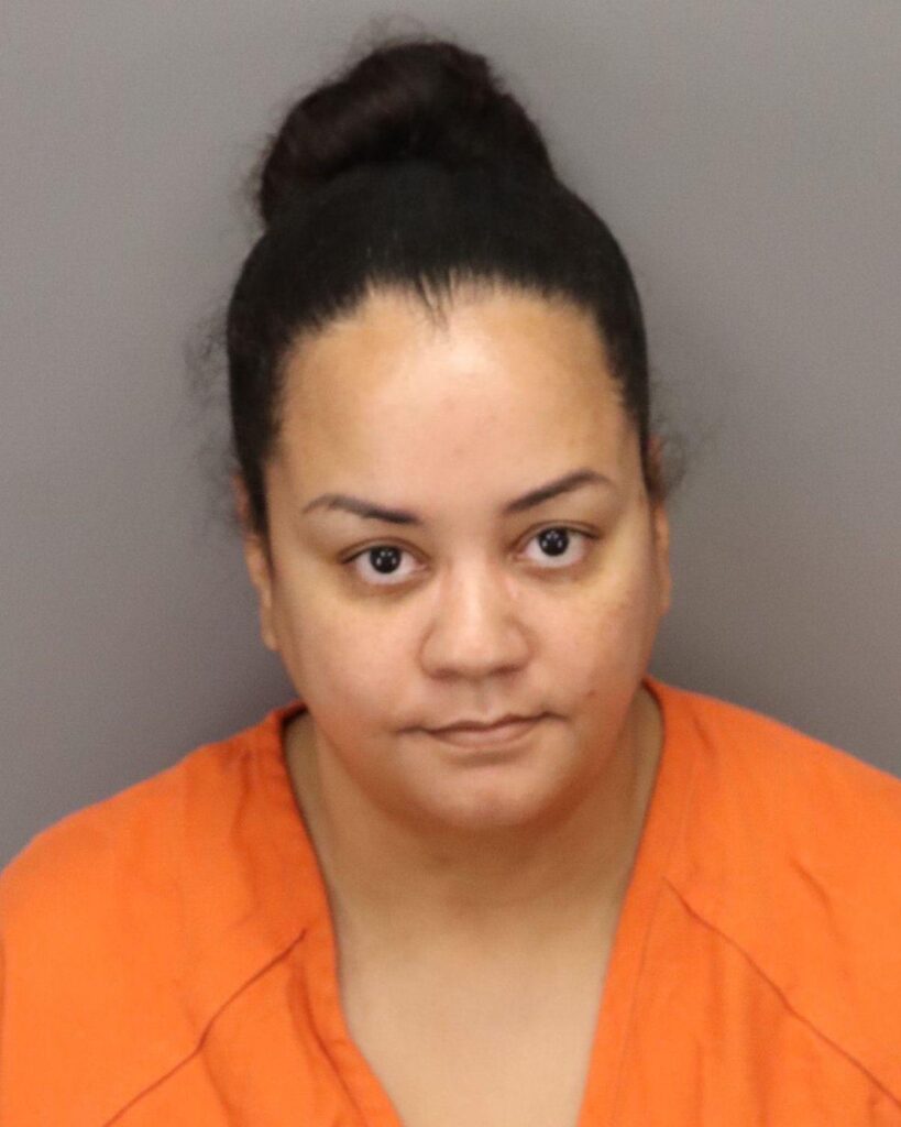 Pinellas County Sheriff's Office Child Protection Investigator arrested