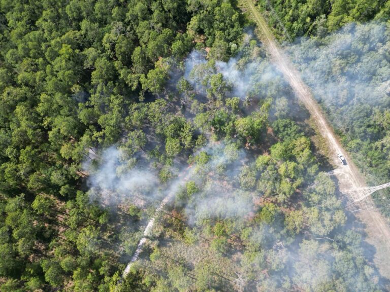 Firefighters contain 2-3 acre fire in Brooker Creek Preserve; trails closed to the public