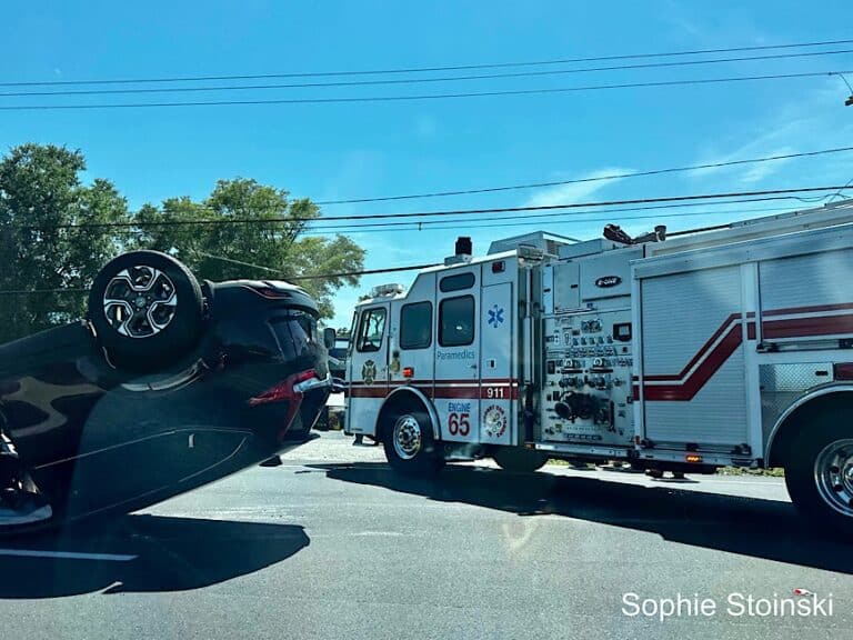 Rollover crash off US-19 near Boy Scout Road