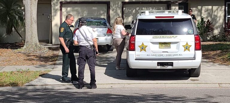 Shooting incident in Palm Harbor, teenager injured