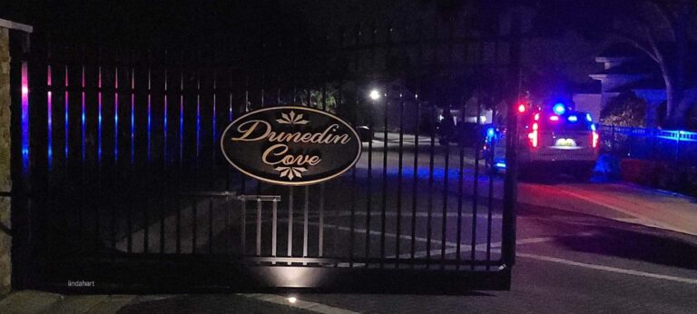 Pool Maintenance Visit Turns Into Shooting Incident in Dunedin