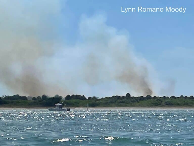 Fire Breaks Out on Egmont Key: Crews Battling 2-Acre Blaze