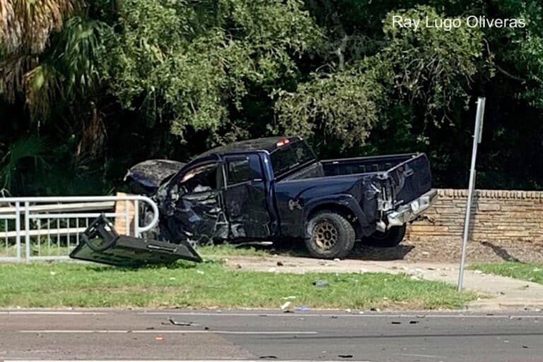 Fatal collision on US-19 in Tarpon Springs: Elderly driver and dog die in two-vehicle crash