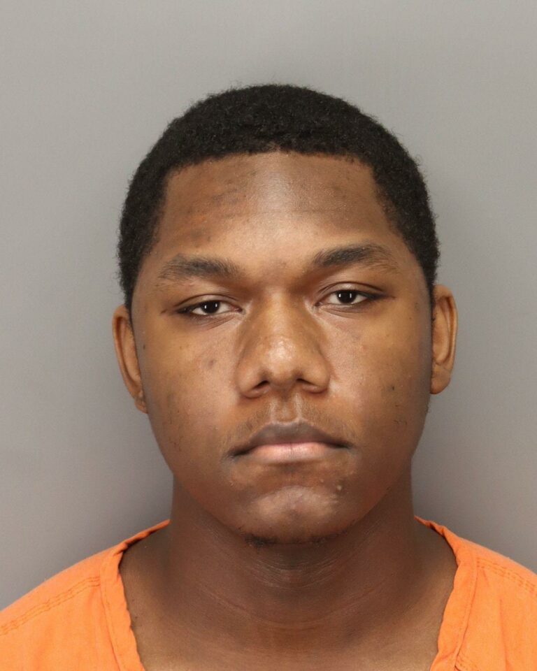 Deronke Barron, in custody after Downtown St. Petersburg Shooting