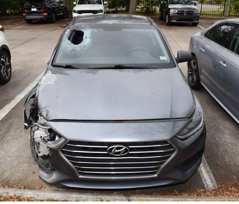 Arrest made in fatal hit-and-run crash in Pinellas Park