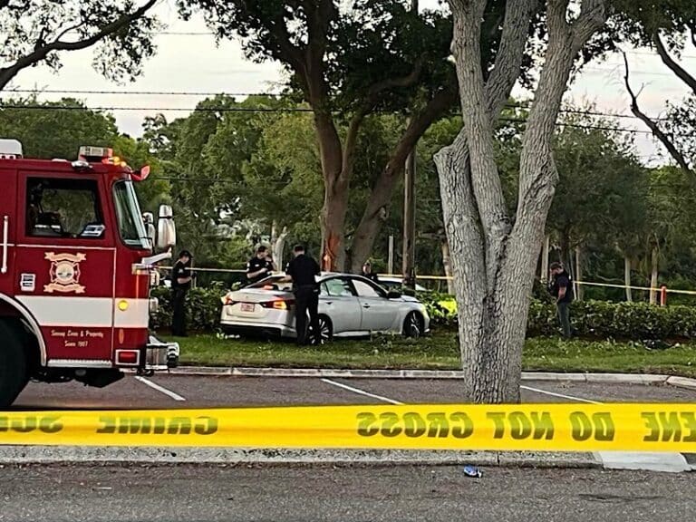 Carjacking suspect in custody after crashes vehicle into a tree in St. Petersburg